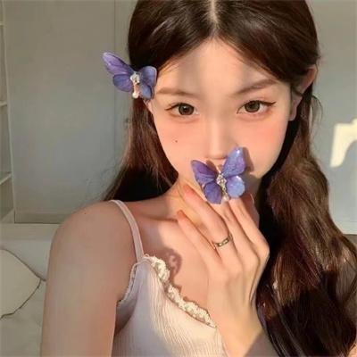 哈兰·科本的庇护所